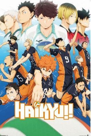 HAIKYU! - Karasuno Team Poster