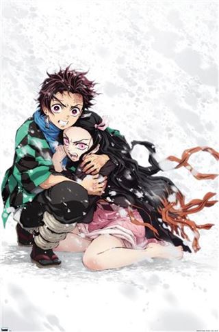 Demon Slayer - Tanjiro And Nezuko Snow Regular Poster