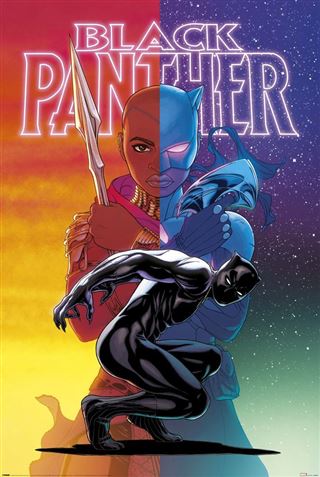 Black Panther - Wakanda Forever Colour Split Poster