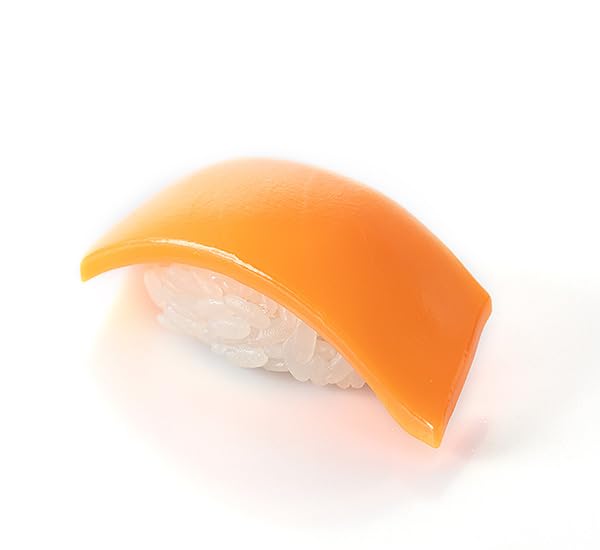 Sushi Plastic Model Version Salmon