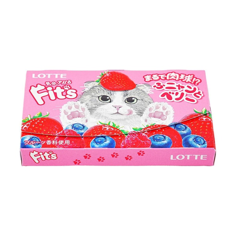 Lotte - Fits Cat Gum 2.5g